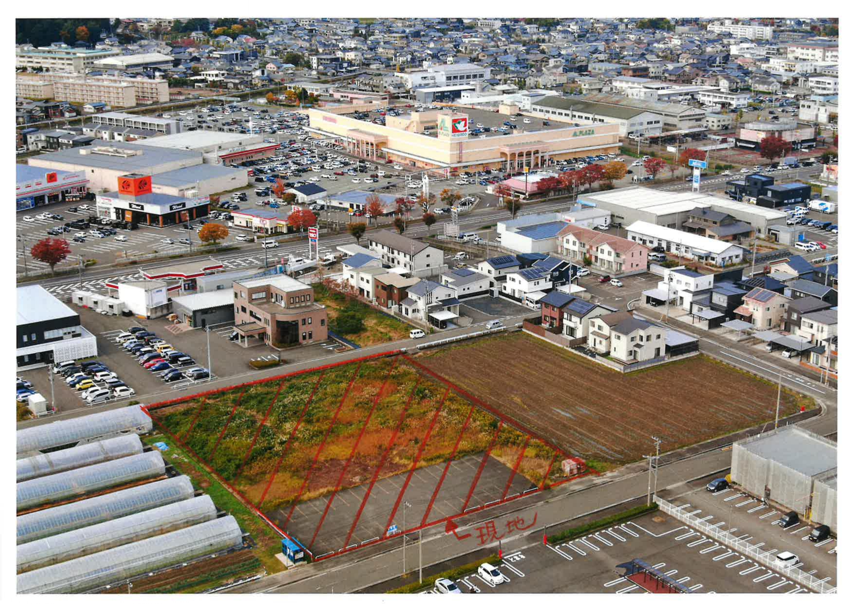 »ª¹¾»Ô²¼²ÏüĮÂðÃÏʬ¾ù